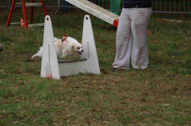 foire-haricots 2011-09-17et18